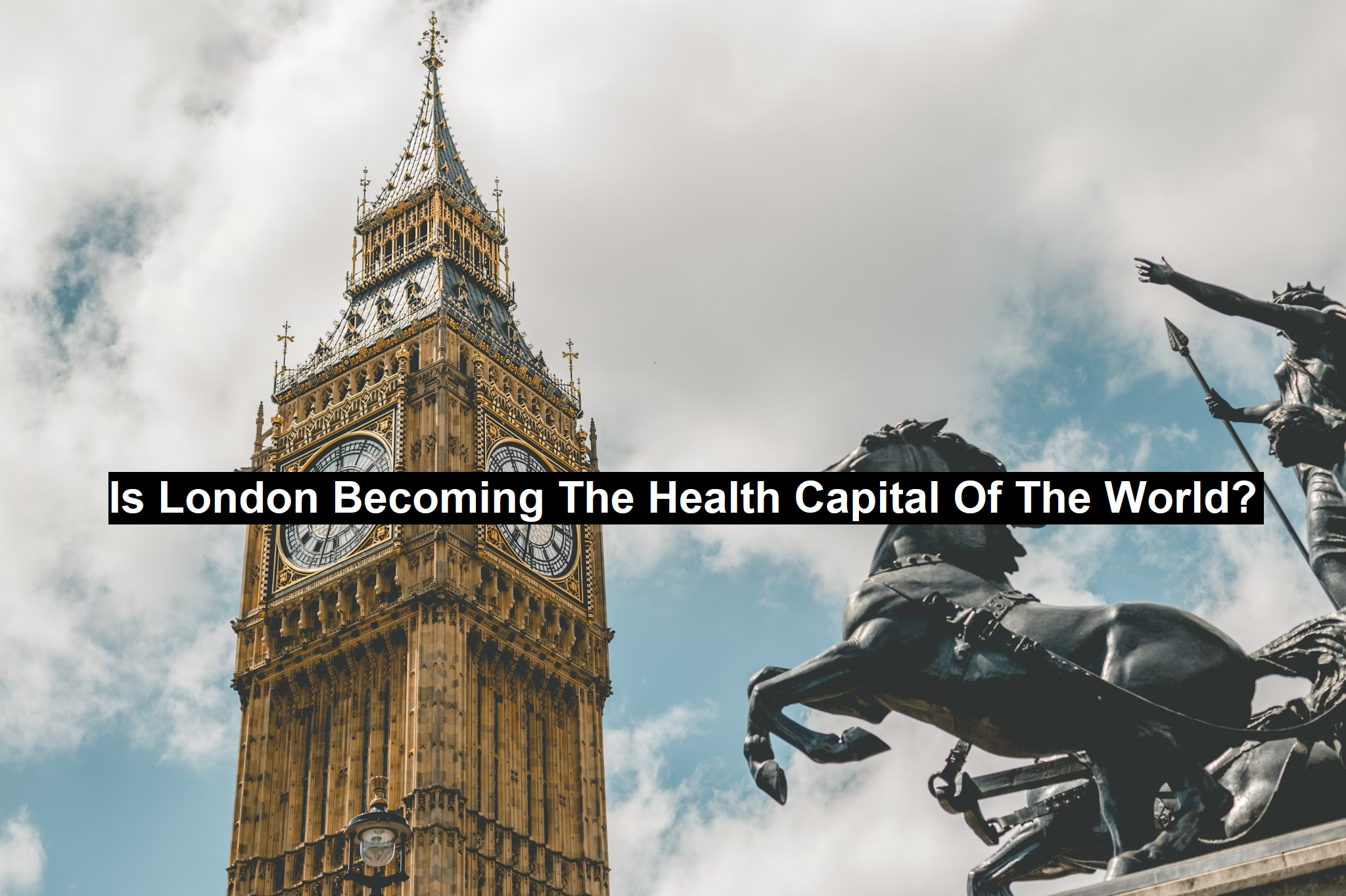 The Health Capital