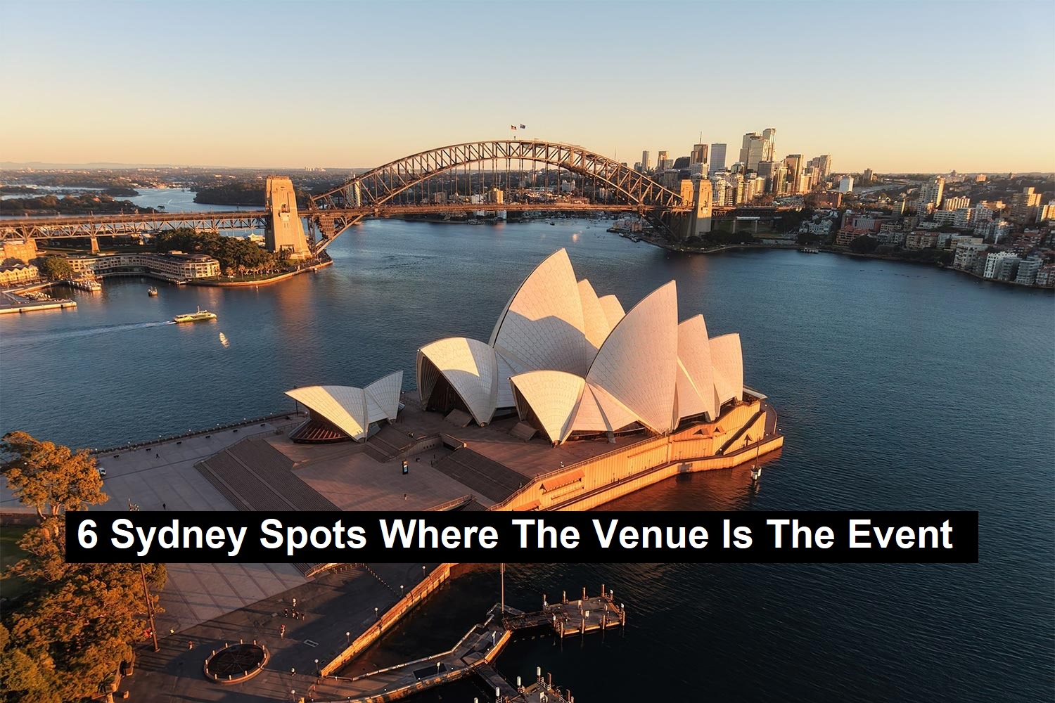 Sydney Spots